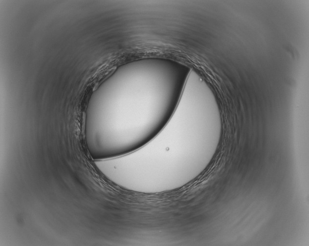 X0000111160916200906301055
