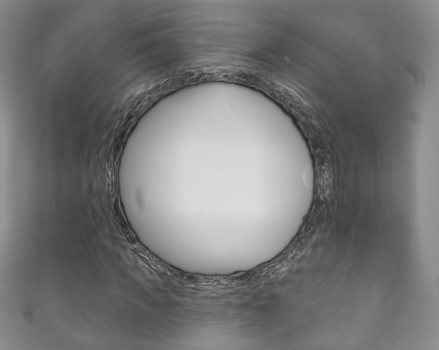 X0000111160917200906301055
