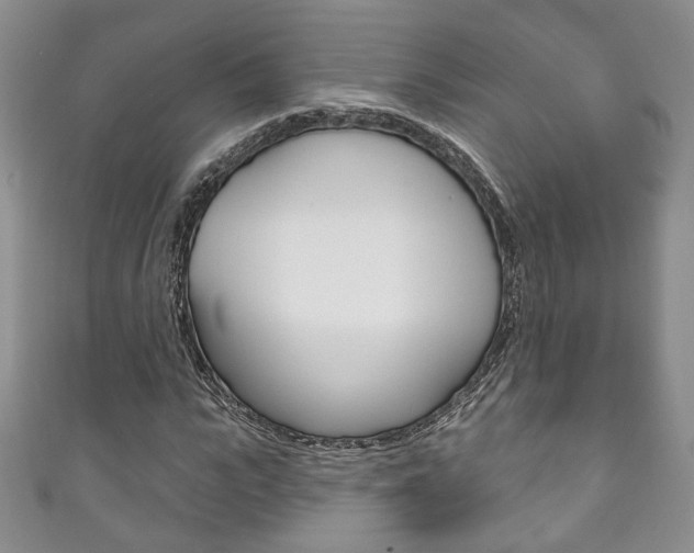 X0000111160919200906301055