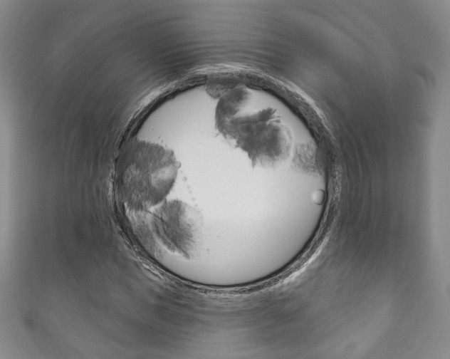 X0000111160921200906301055