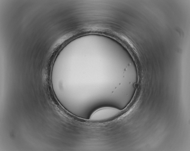 X0000111160922200906301055