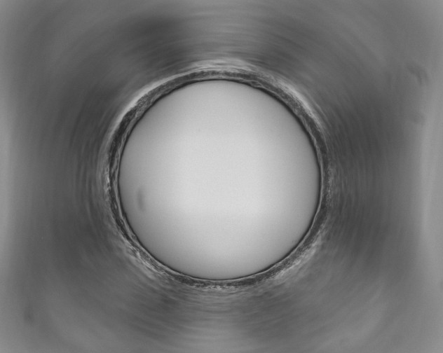 X0000111160923200906301055
