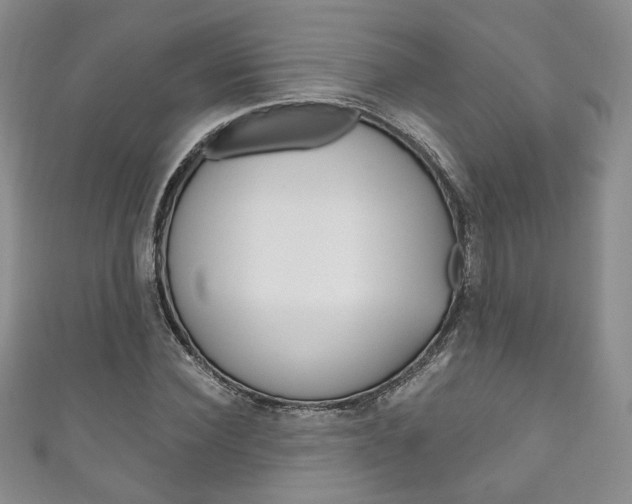 X0000111160924200906301055