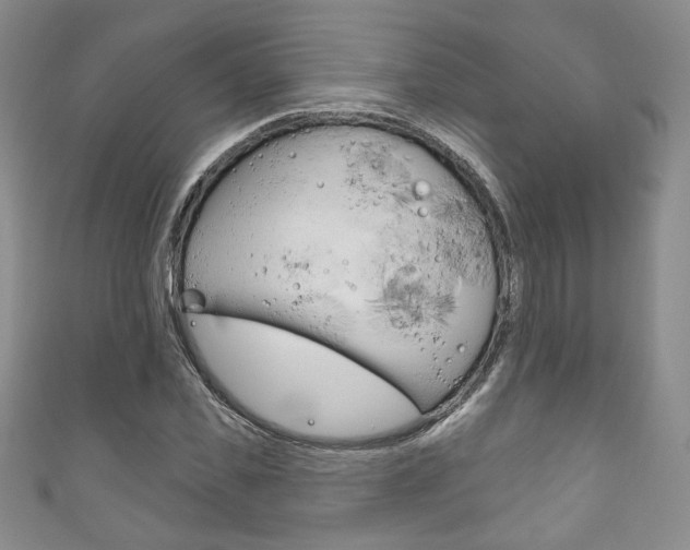X0000111160925200906301055