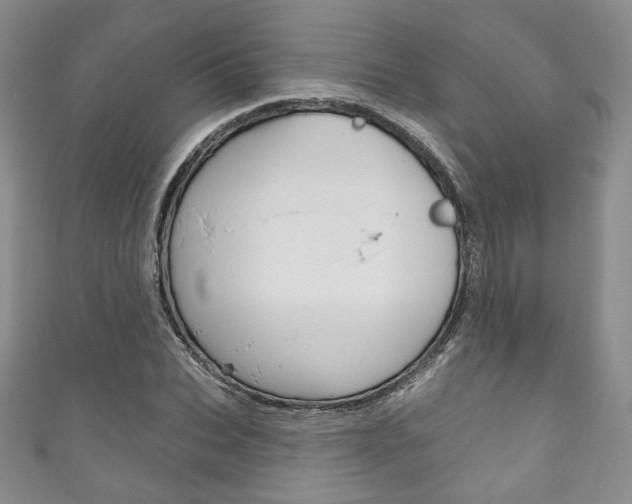 X0000111160927200906301055