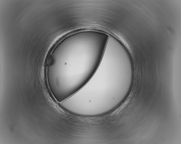 X0000111160932200906301055