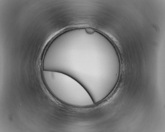X0000111160933200906301055