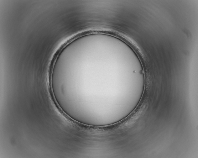 X0000111160935200906301055