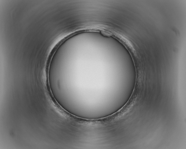 X0000111160936200906301055