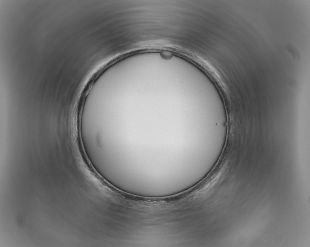 X0000111160939200906301055