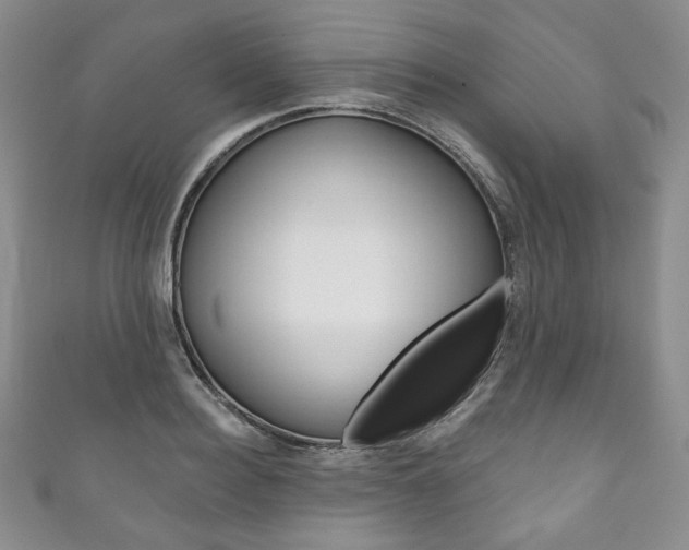X0000111160940200906301055