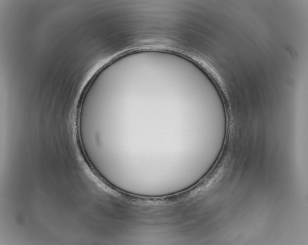 X0000111160941200906301055