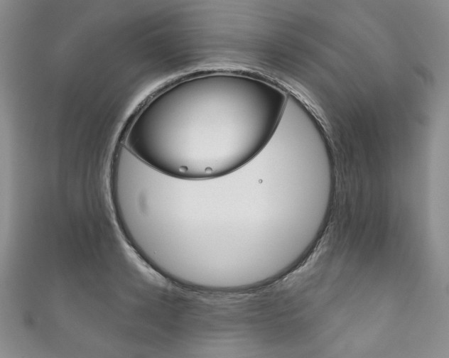 X0000111160942200906301055