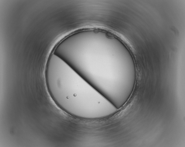 X0000111160943200906301055