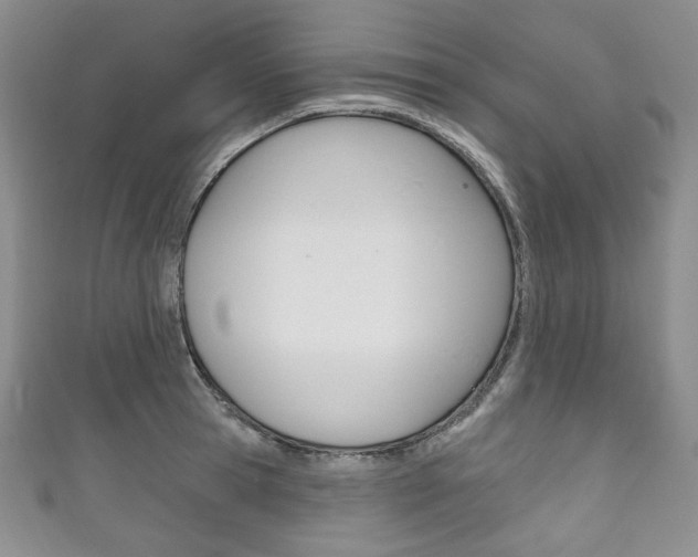 X0000111160945200906301055
