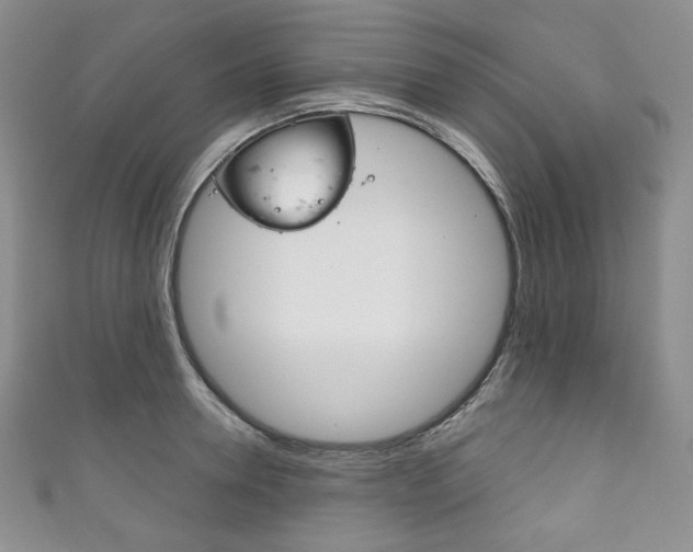 X0000111160946200906301055