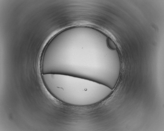 X0000111160947200906301055