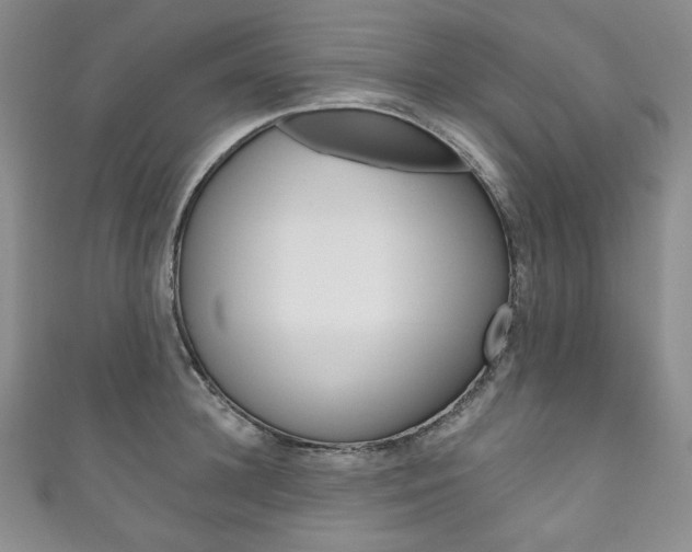 X0000111160948200906301055