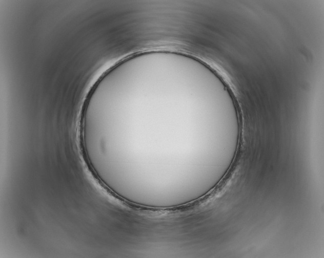 X0000111160949200906301055