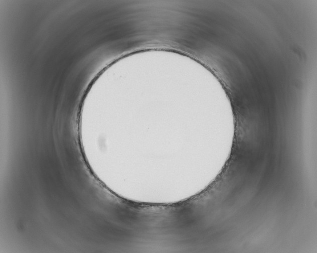 X0000111160950200906301055