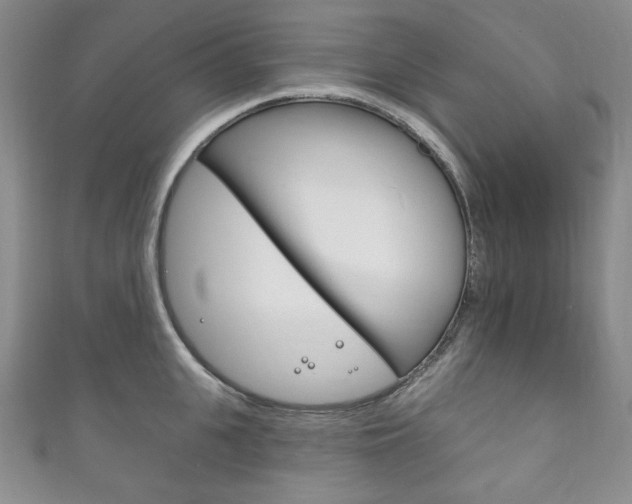 X0000111160951200906301055