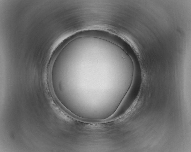 X0000111160952200906301055