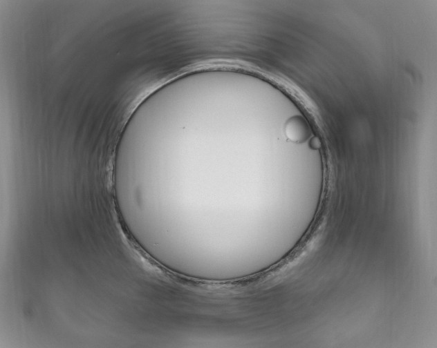 X0000111160953200906301055