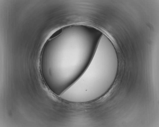 X0000111160956200906301055