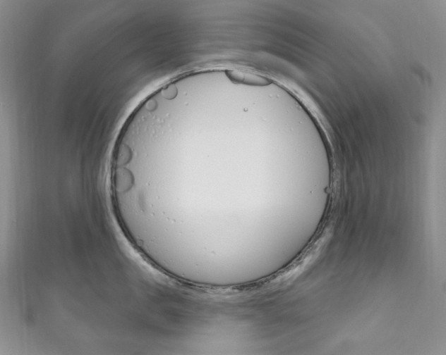 X0000111160957200906301055