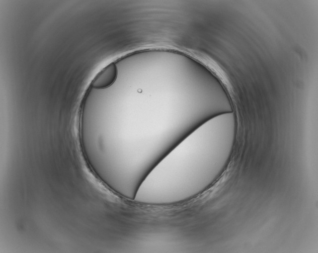 X0000111160958200906301055