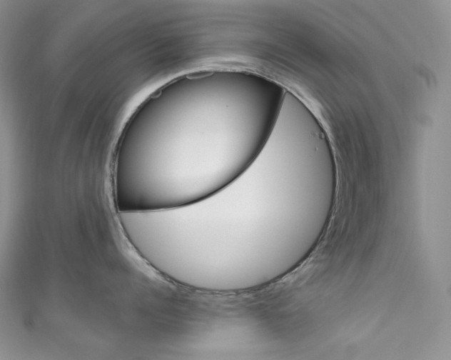 X0000111160960200906301055