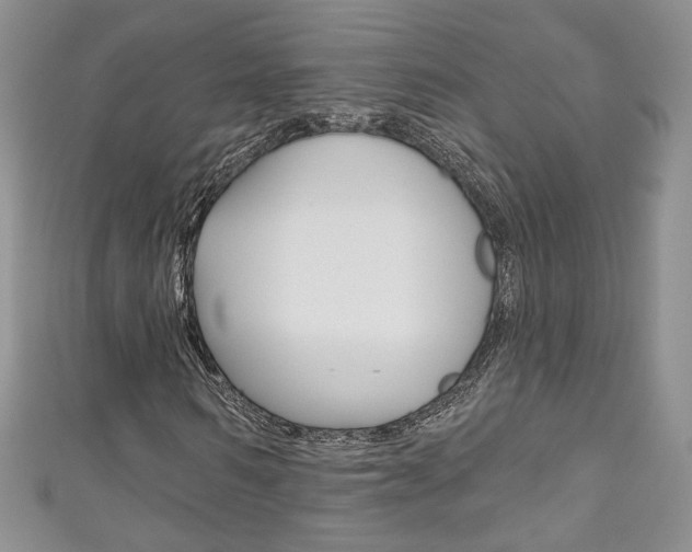 X0000111160962200906301055