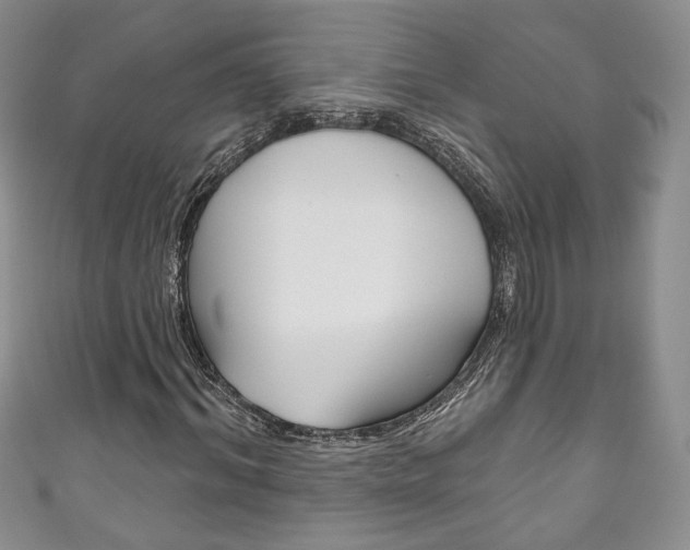 X0000111160964200906301055