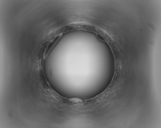 X0000111160965200906301055