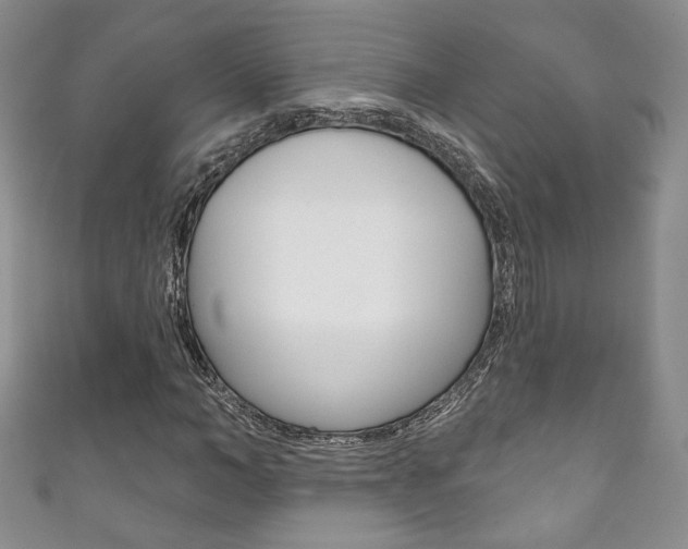 X0000111160966200906301055