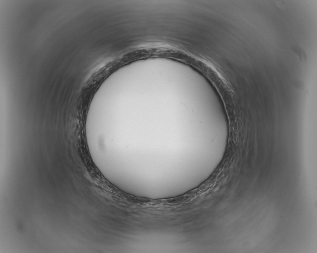 X0000111160967200906301055