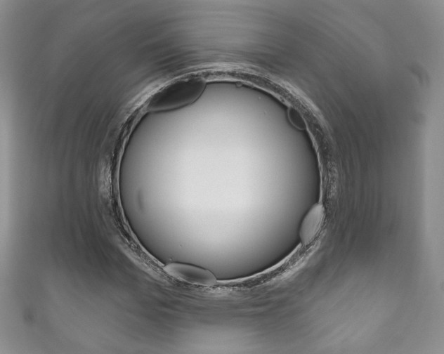 X0000111160969200906301055