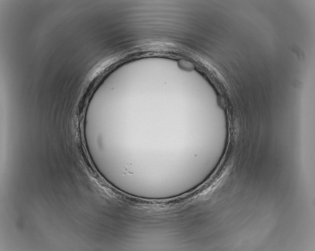 X0000111160970200906301055