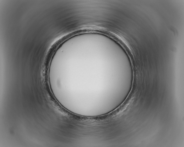 X0000111160971200906301055