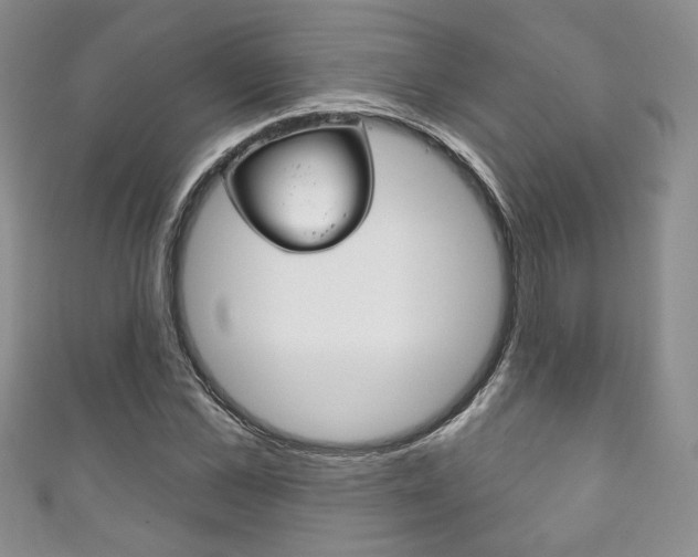 X0000111160973200906301055