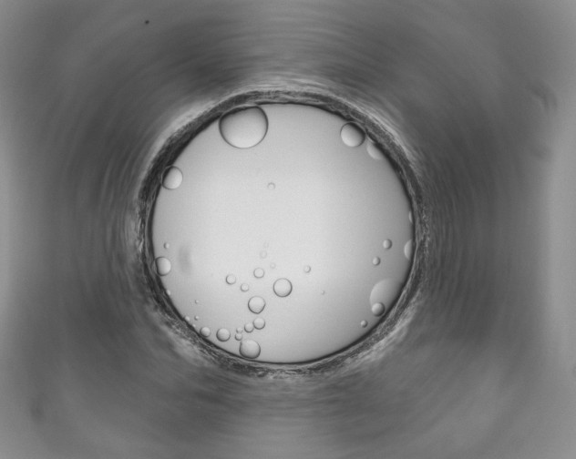 X0000111160974200906301055
