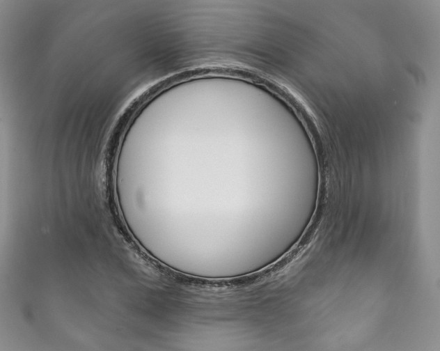 X0000111160975200906301055