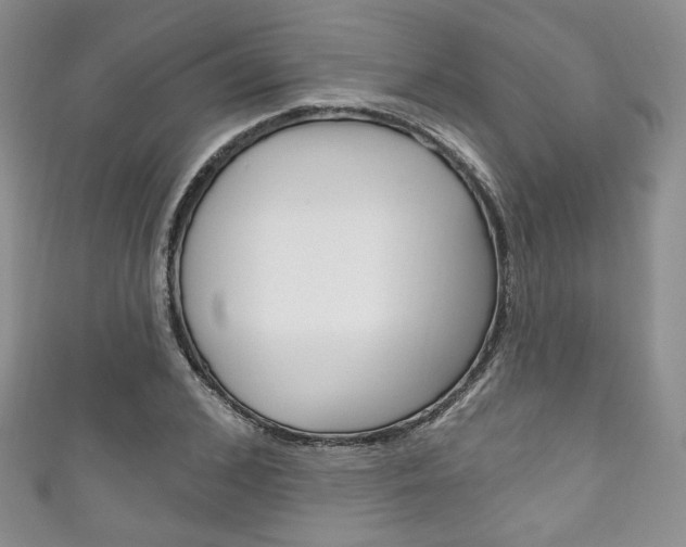 X0000111160976200906301055