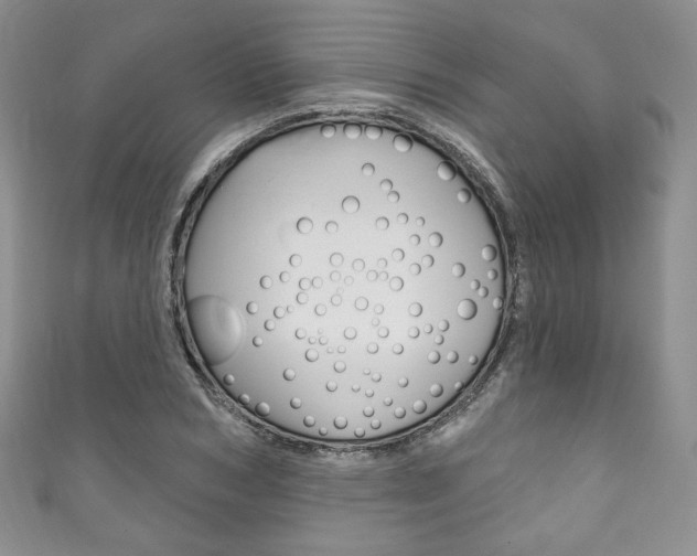 X0000111160978200906301054