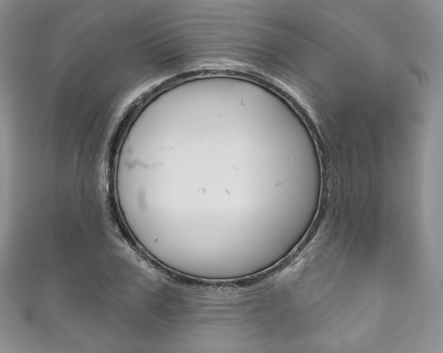 X0000111160979200906301054