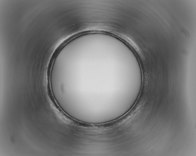 X0000111160980200906301054