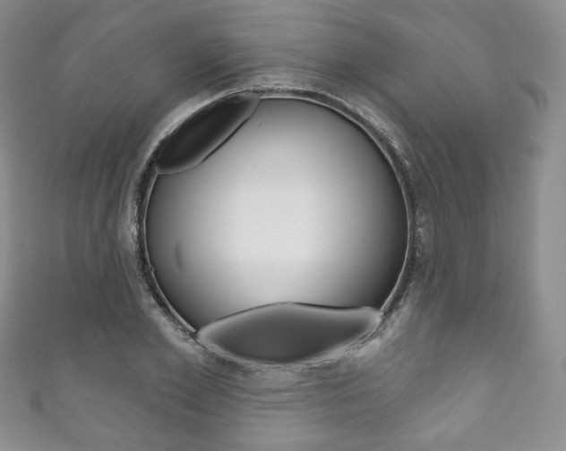X0000111160981200906301054