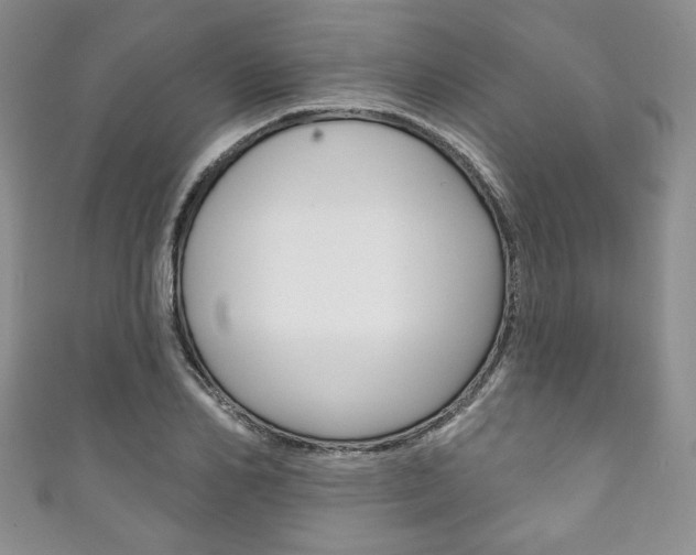 X0000111160982200906301054
