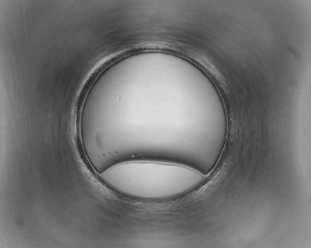 X0000111160984200906301054