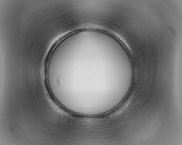 X0000111160987200906301054